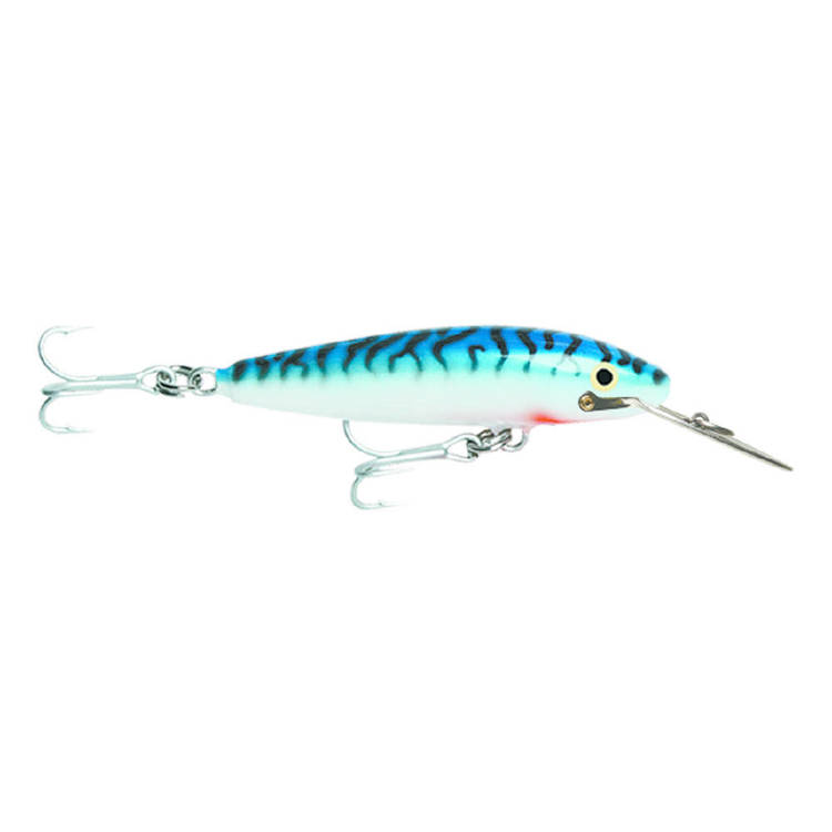  Lumica Soft Lure Puniika Shock 1 35mm 5 Pieces Per Pack 114  (3444) : Sports & Outdoors