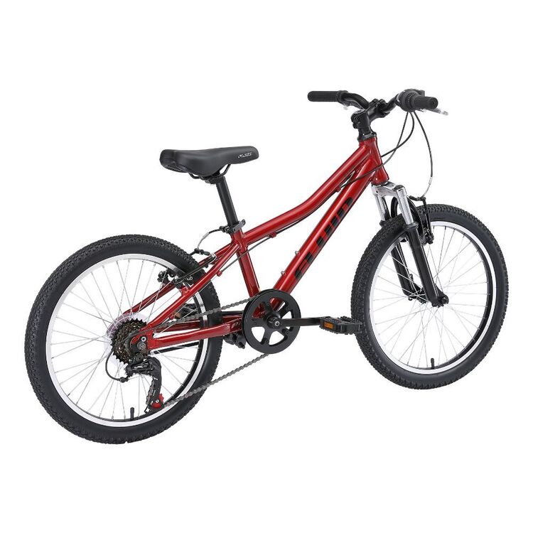 Fluid Rapid 1.0 20 inch Mountain Bike Red