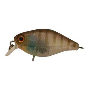 Jackall Chubby Shallow Lure Ghost Gill 38 mm