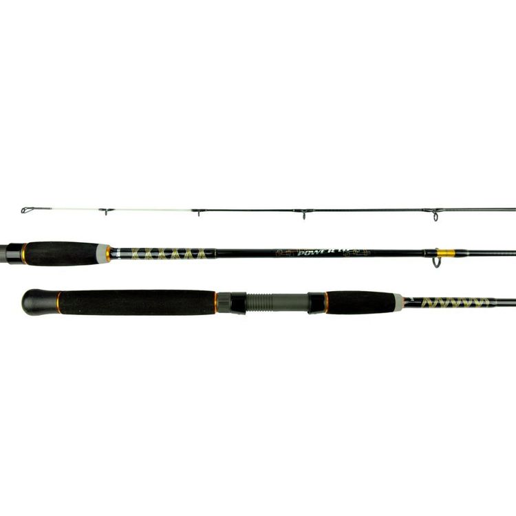 JS Company BIXOD Surfster Moderate 2 pc Spinning Rod