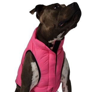 Cape Dog Puffer Jacket Hot Pink