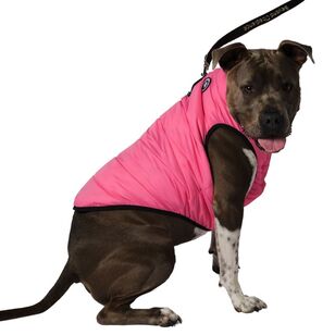 Cape Dog Puffer Jacket Hot Pink