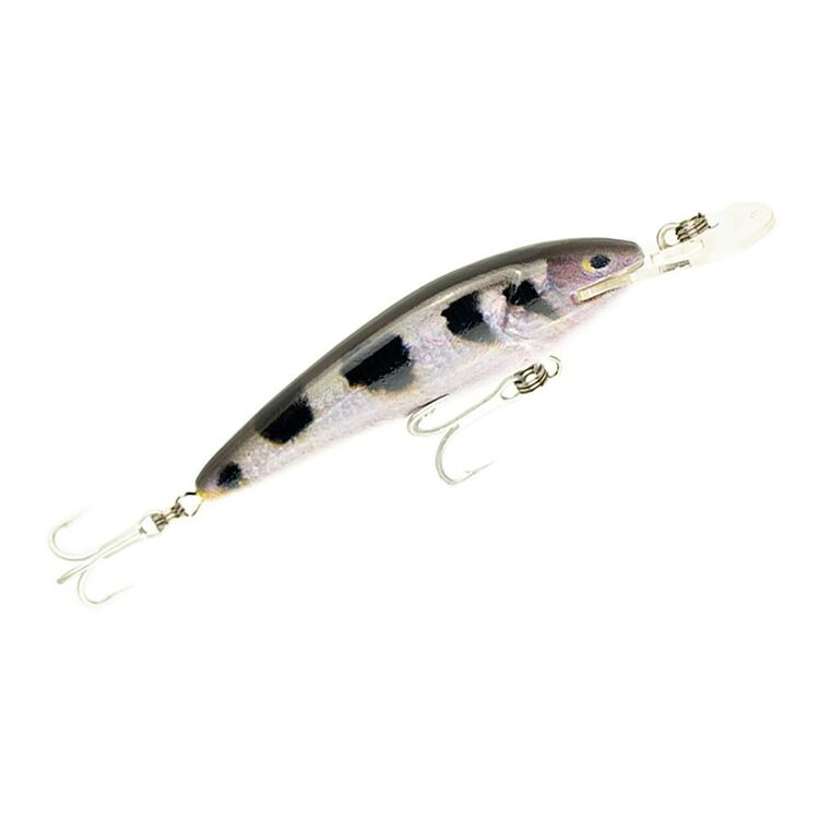 Raptor 4 Live Series Jack Snax Suspending Lure Arch Fish 4 in