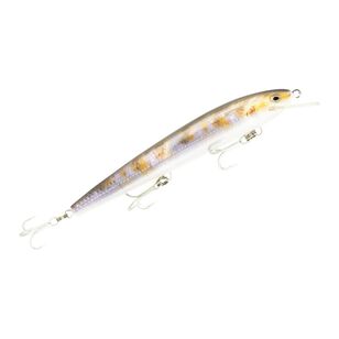 Raptor 7" Dominator Live Series Suspening Lure Coy Carp 7 in