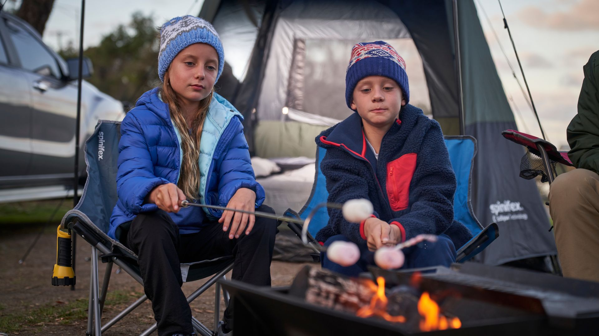 Kids roasting marshmallows by firepit