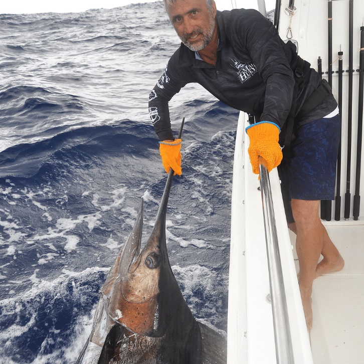 How To Catch Blue Marlin