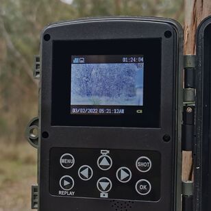 No Glow Trail Camera 4K/50MP Camo 4K/50Mp