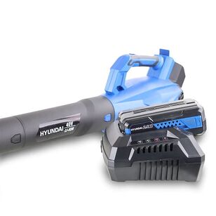 Hyundai 40V Blower Multicoloured