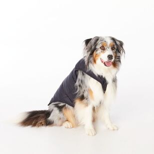 Cape Zeus Dog Puffer Jacket Black