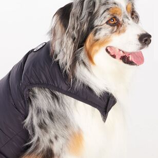 Cape Zeus Dog Puffer Jacket Black