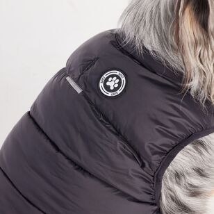 Cape Zeus Dog Puffer Jacket Black