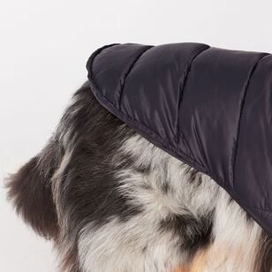 Cape Zeus Dog Puffer Jacket Black