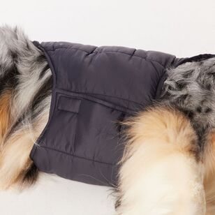 Cape Zeus Dog Puffer Jacket Black