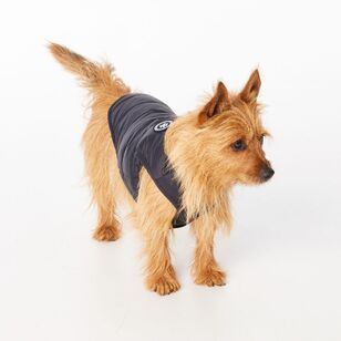 Cape Zeus Dog Puffer Jacket Black