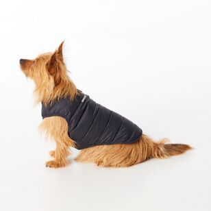 Cape Zeus Dog Puffer Jacket Black