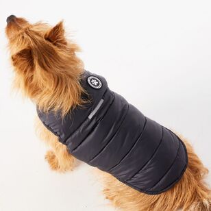 Cape Zeus Dog Puffer Jacket Black