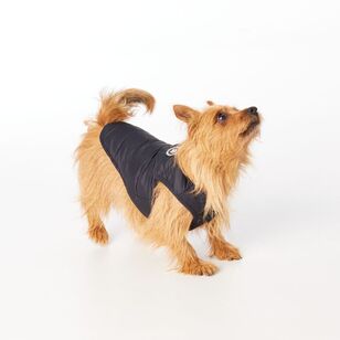 Cape Zeus Dog Puffer Jacket Black