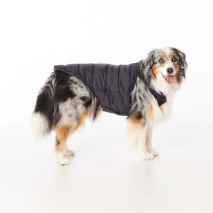 Cape Zeus Dog Puffer Jacket Black