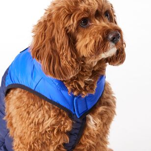 Cape Zeus Dog Puffer Jacket Navy & Cobalt