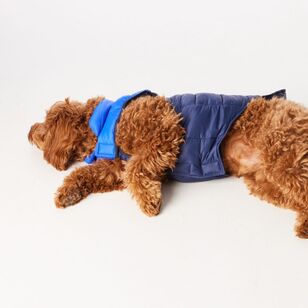 Cape Zeus Dog Puffer Jacket Navy & Cobalt