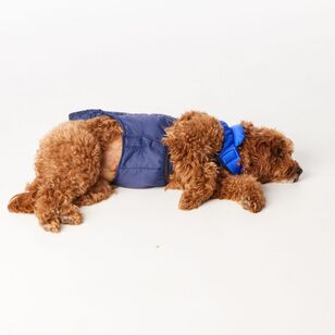 Cape Zeus Dog Puffer Jacket Navy & Cobalt