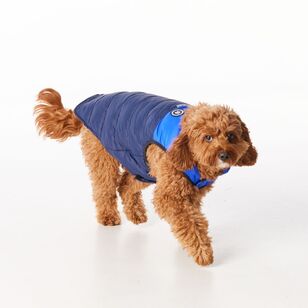 Cape Zeus Dog Puffer Jacket Navy & Cobalt