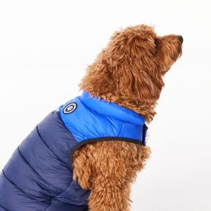 Cape Zeus Dog Puffer Jacket Navy & Cobalt