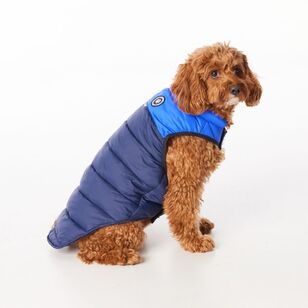 Cape Zeus Dog Puffer Jacket Navy & Cobalt