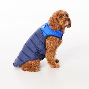 Cape Zeus Dog Puffer Jacket Navy & Cobalt