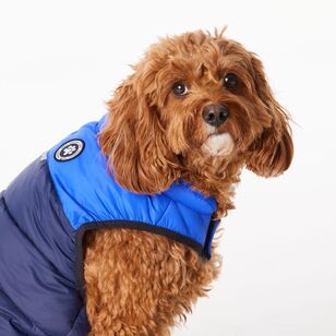 Cape Zeus Dog Puffer Jacket Navy & Cobalt