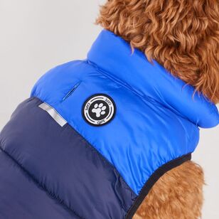 Cape Zeus Dog Puffer Jacket Navy & Cobalt