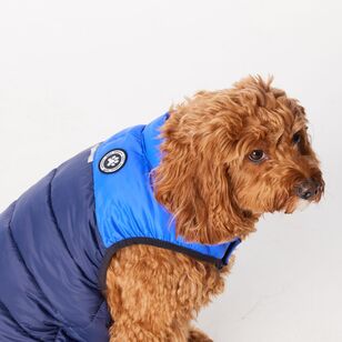 Cape Zeus Dog Puffer Jacket Navy & Cobalt