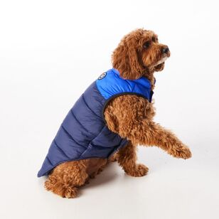 Cape Zeus Dog Puffer Jacket Navy & Cobalt