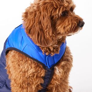 Cape Zeus Dog Puffer Jacket Navy & Cobalt