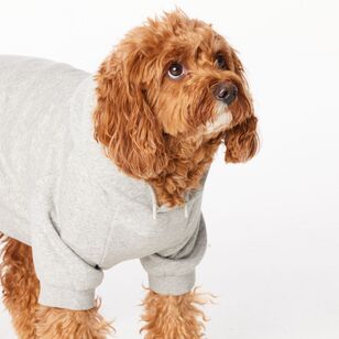 Cape Luna Dog Hoodie Grey Marle