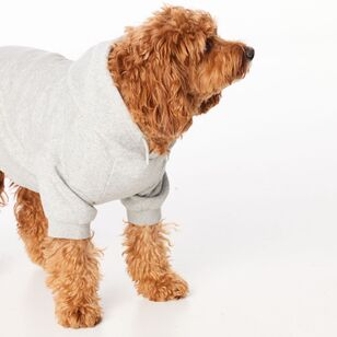 Cape Luna Dog Hoodie Grey Marle