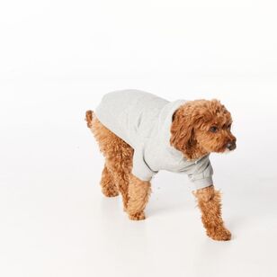 Cape Luna Dog Hoodie Grey Marle