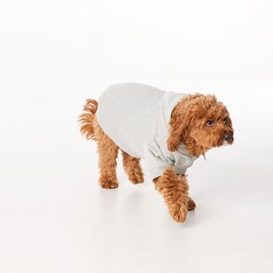 Cape Luna Dog Hoodie Grey Marle