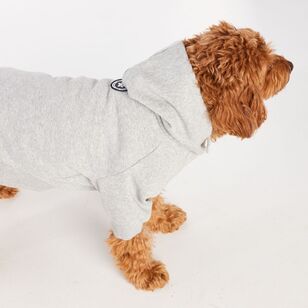 Cape Luna Dog Hoodie Grey Marle