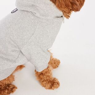 Cape Luna Dog Hoodie Grey Marle