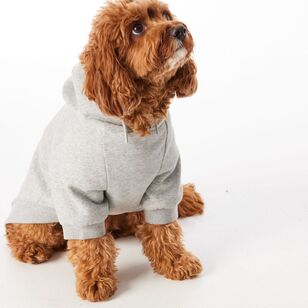 Cape Luna Dog Hoodie Grey Marle