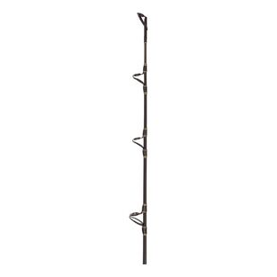 Penn Ally 10kg 571M Overhead Rod Multicoloured