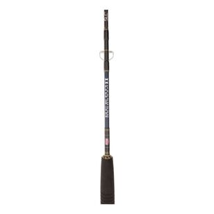 Penn Ocean Assassin II PE 3-5 601MH Spin Rod Multicoloured