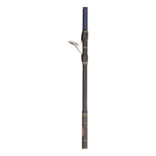 Penn Ocean Assassin II PE 2-4 621M Overhead Rod Multicoloured