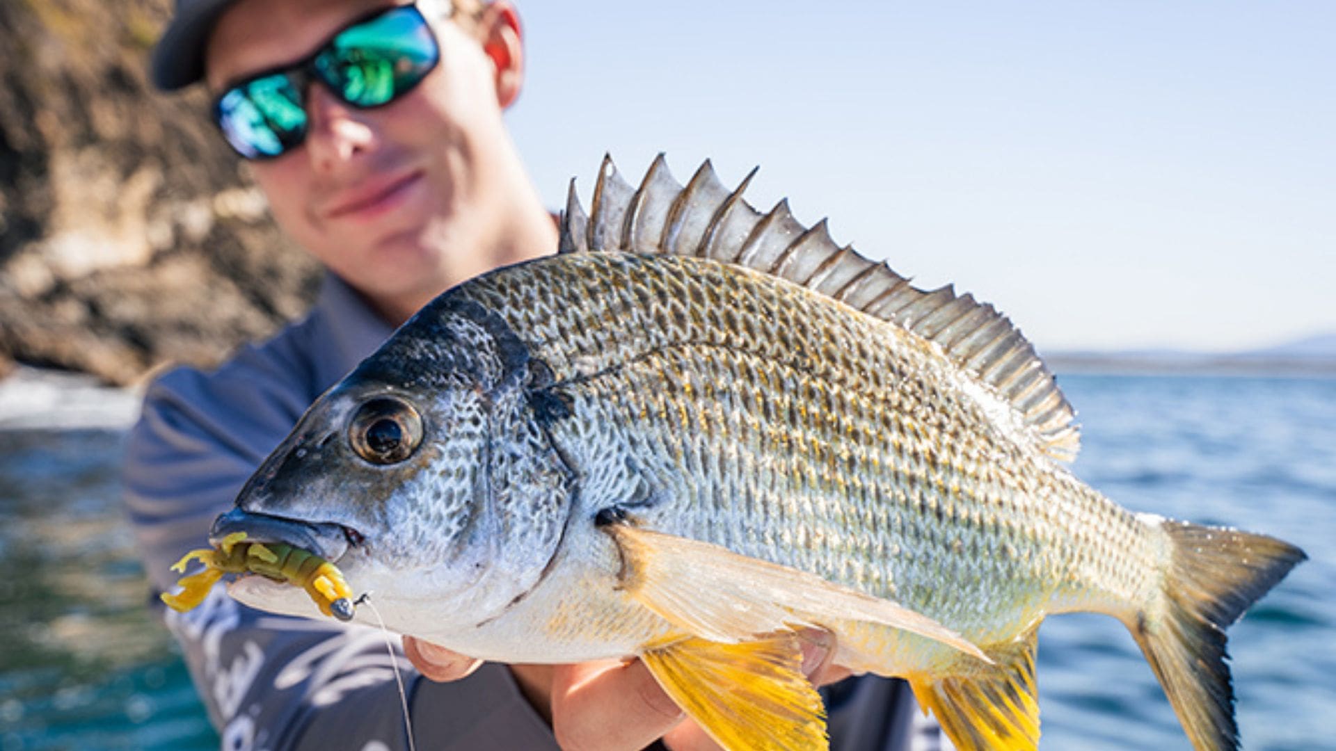 The Best Soft Baits For Snapper in Your Tackle Box